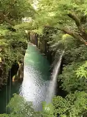 高千穂神社の自然