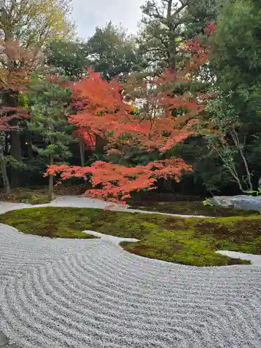 西来院(京都府)