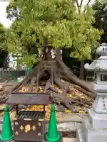 大鳥大社の{uncategorized: "未分類", other: "その他", undefined: "問題あり", building: "その他建物", grave: "お墓", sacred_gate: "鳥居", guardian: "狛犬", statue: "像", buddha: "仏像", history: "歴史", nature: "自然", garden: "庭園", animal: "動物", pagoda: "塔", temizu: "手水舎", mountain_gate: "山門・神門", sanctuary: "本殿・本堂", subordinate: "末社・摂社", art: "芸術", scenery: "景色", jizo: "地蔵", ema: "絵馬", goshuin: "御朱印", omikuji: "おみくじ", items: "授与品その他", amulet: "お守り", goshuincho: "御朱印帳", eats: "食事", festival: "お祭り", votive_dance: "神楽", shichigosan: "七五三参", wedding: "結婚式", experience: "体験その他", initially: "初詣", around: "周辺", anti_infection: "感染症対策"}