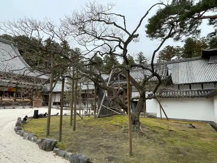 瑞巌寺(宮城県)
