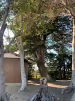 新御堂稲荷神社(千葉県)