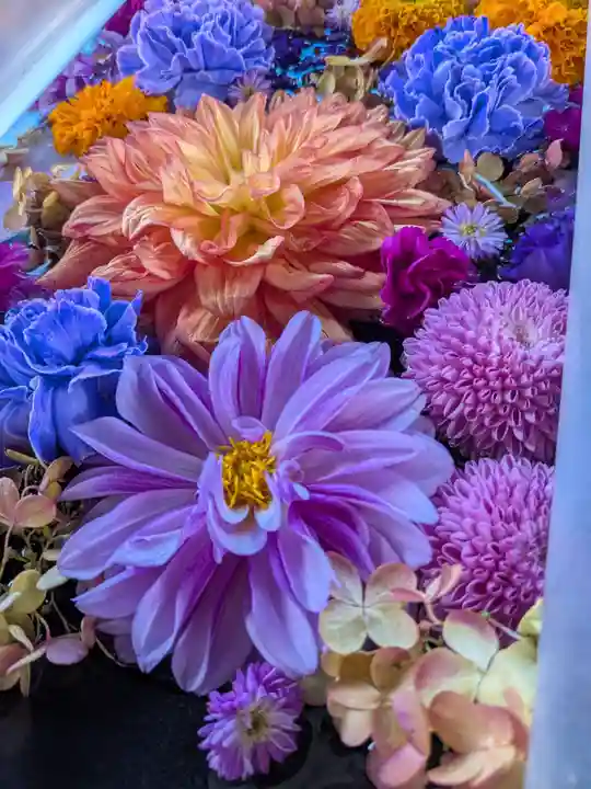 成田山深川不動堂(新勝寺東京別院)(東京都)