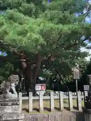 北野天満宮(京都府)