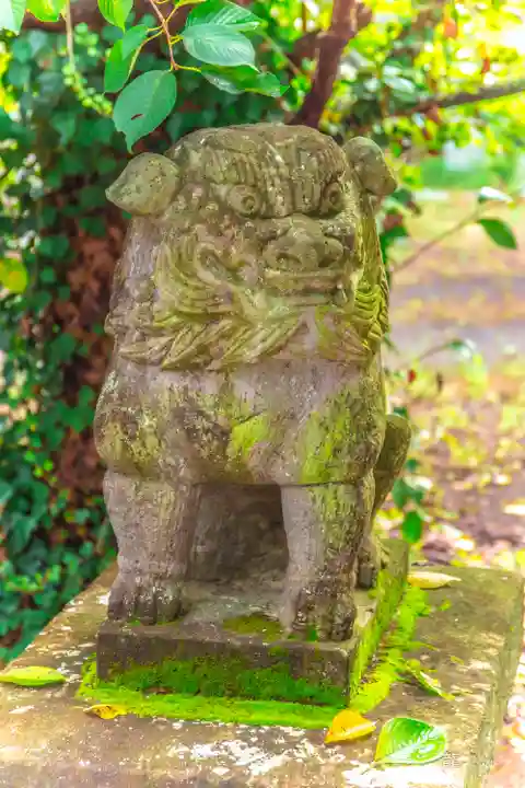 天神社(宮城県)