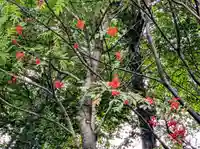 大雪山層雲峡神社(北海道)