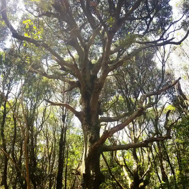 鹿島神宮の自然