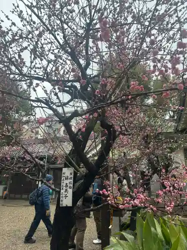 難波八阪神社の{uncategorized: "未分類", other: "その他", undefined: "問題あり", building: "その他建物", grave: "お墓", sacred_gate: "鳥居", guardian: "狛犬", statue: "像", buddha: "仏像", history: "歴史", nature: "自然", garden: "庭園", animal: "動物", pagoda: "塔", temizu: "手水舎", mountain_gate: "山門・神門", sanctuary: "本殿・本堂", subordinate: "末社・摂社", art: "芸術", scenery: "景色", jizo: "地蔵", ema: "絵馬", goshuin: "御朱印", omikuji: "おみくじ", items: "授与品その他", amulet: "お守り", goshuincho: "御朱印帳", eats: "食事", festival: "お祭り", votive_dance: "神楽", shichigosan: "七五三参", wedding: "結婚式", experience: "体験その他", initially: "初詣", around: "周辺", anti_infection: "感染症対策"}