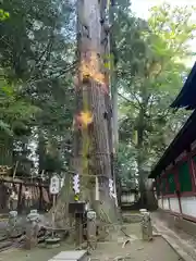 一言主神社(茨城県)