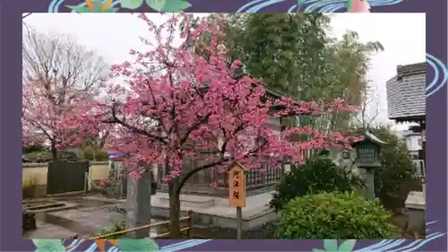 芳林寺(埼玉県)