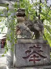 上千葉香取神社の狛犬