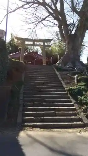 須賀神社の鳥居