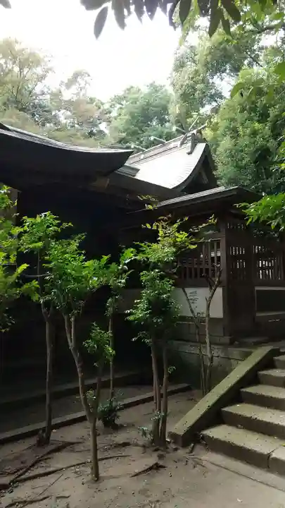 春日部八幡神社の本殿・本堂