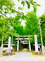 金村別雷神社の鳥居