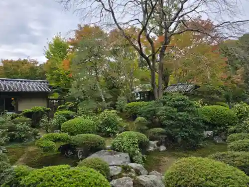 安楽寺(京都府)