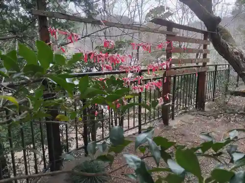 西宮神社のおみくじ