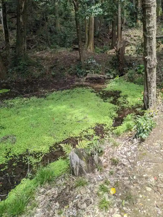 日龍峯寺(高澤観音)(美濃清水)の自然