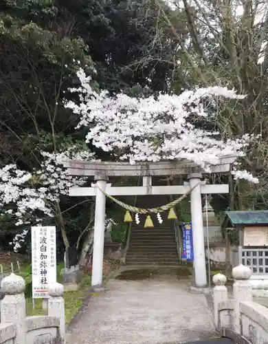 日本唯一香辛料の神　波自加彌神社の鳥居