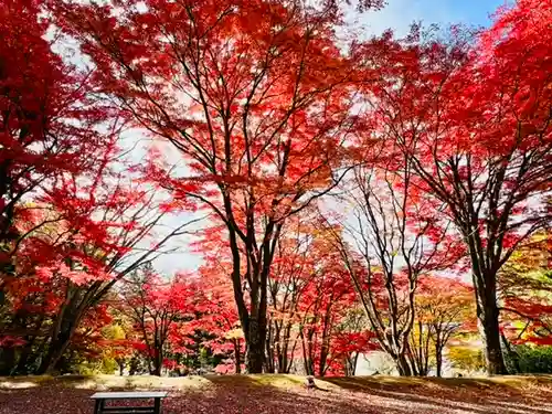 土津神社｜こどもと出世の神さまの自然