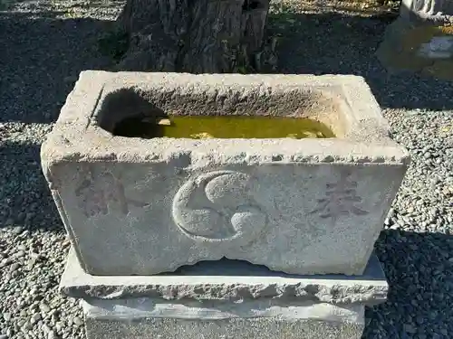 白幡神社の手水舎