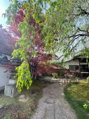 本満寺(本願満足寺)のその他建物