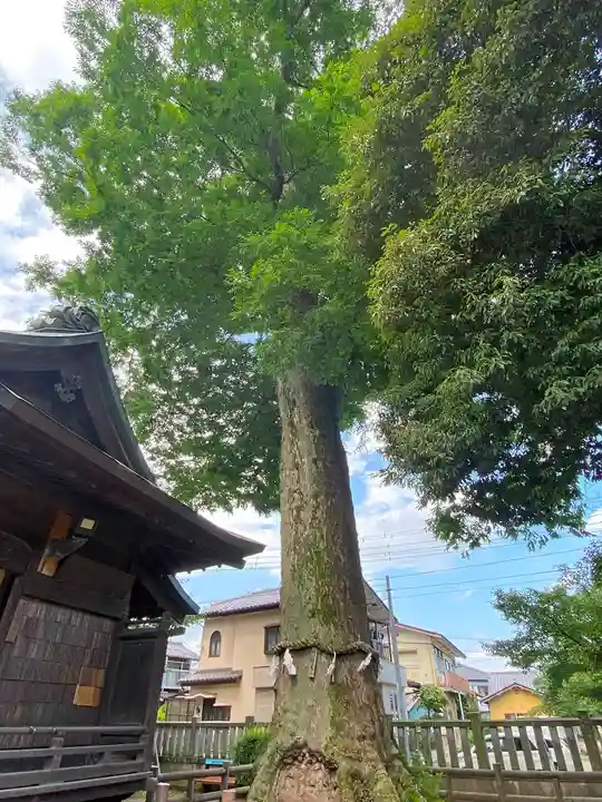 廣瀬神社の自然