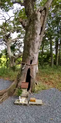 鞆呂岐神社(大阪府)