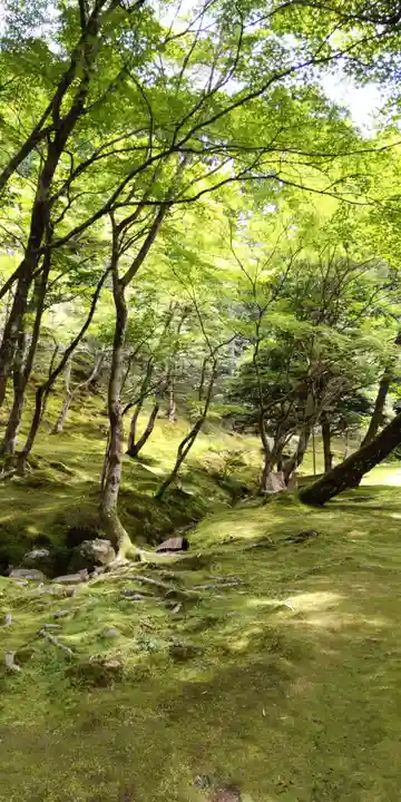 慈照寺(慈照禅寺・銀閣寺)(京都府)