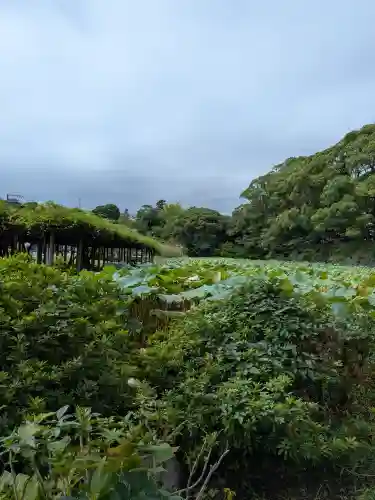 報徳二宮神社(神奈川県)