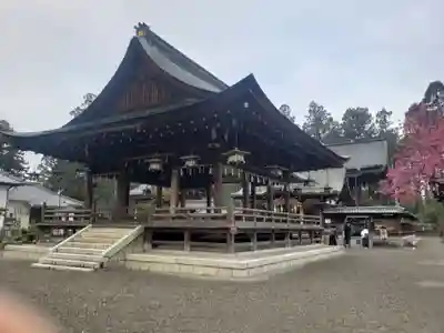 沙沙貴神社の本殿・本堂