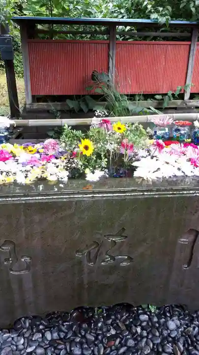 前玉神社の手水舎