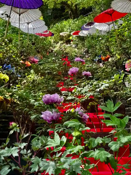 長谷寺(奈良県)