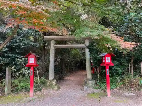 鷲宮神社の鳥居