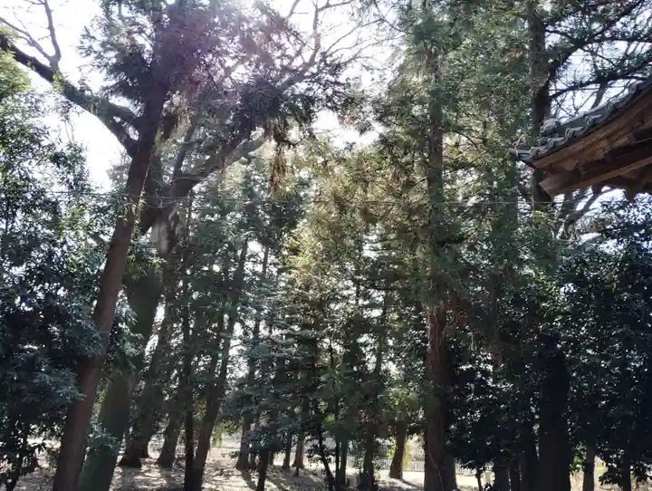 楠木神社(群馬県)
