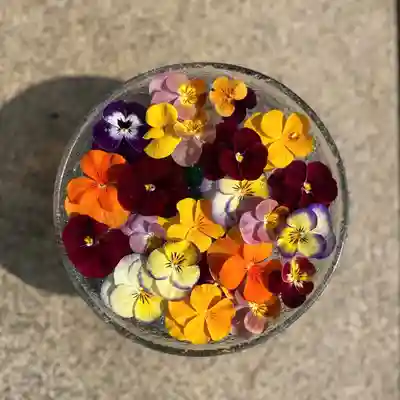 熊本城稲荷神社(熊本県)