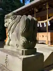 星宮神社の狛犬