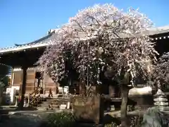 高徳寺(東京都)