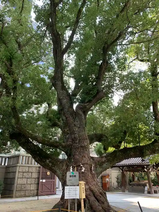 難波神社の自然