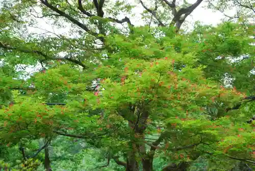 大寧寺(山口県)
