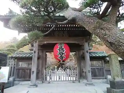 長谷寺の山門・神門