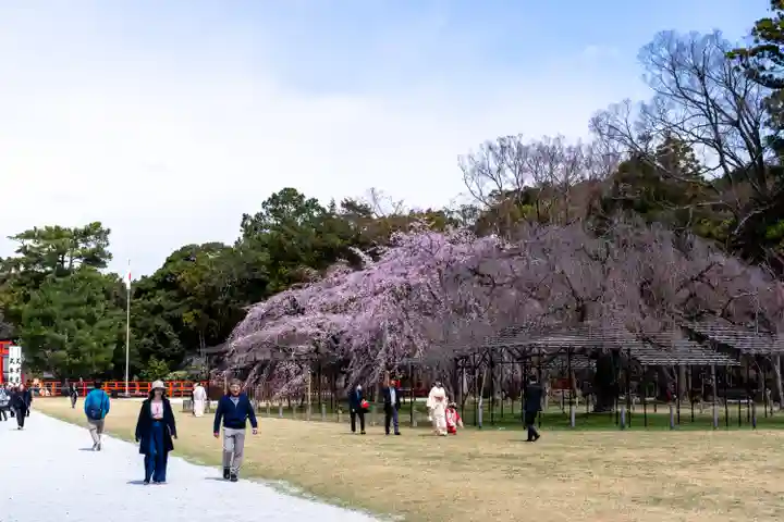 賀茂別雷神社(上賀茂神社)(京都府)