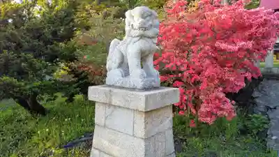御傘山神社の狛犬