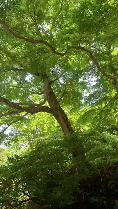 普門寺(切り絵御朱印発祥の寺)(愛知県)