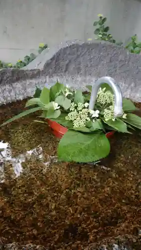 愛宕神社の手水舎