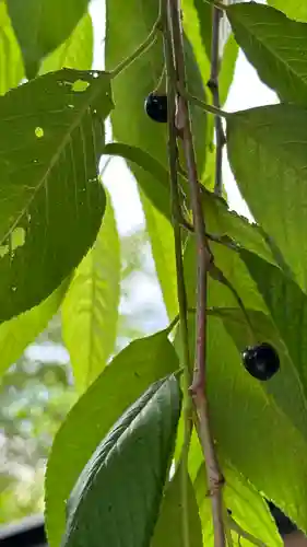 東正寺(山形県)
