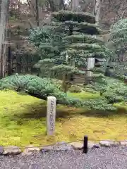 西芳寺の自然