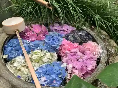 唐澤山神社(栃木県)