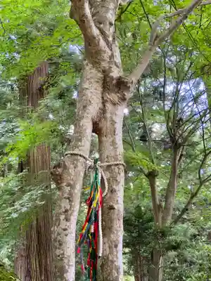河口浅間神社(山梨県)