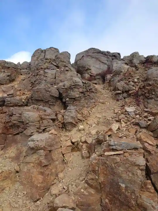 禰固岳神社の自然