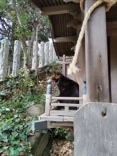海南神社(神奈川県)