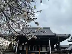 興正寺(京都府)